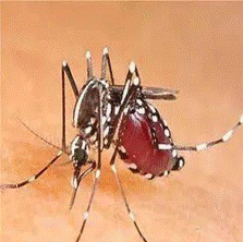 8357d69532432026cfd6a70fdcef2f4a